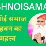 Havan